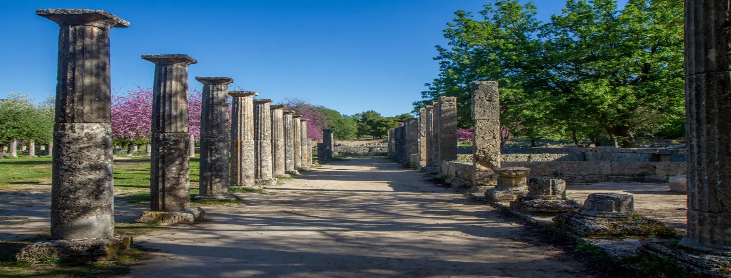 Image for Olympia Excursion